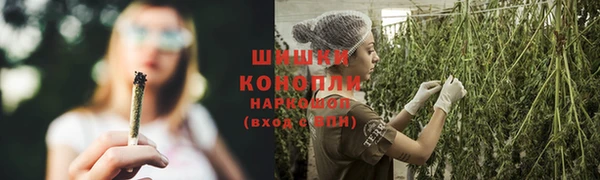 спиды Михайловка