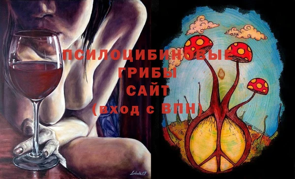 тгк Михайлов