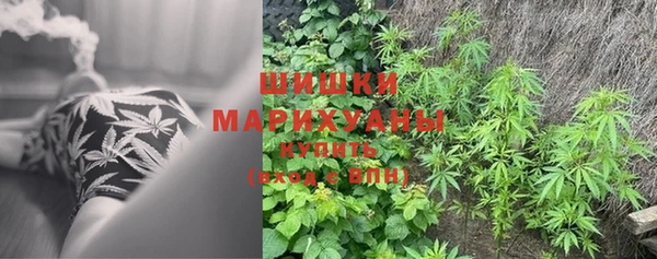 прущий лед Михайловск