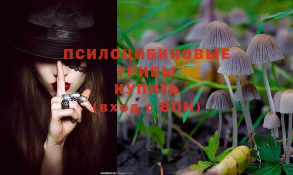 тгк Михайлов
