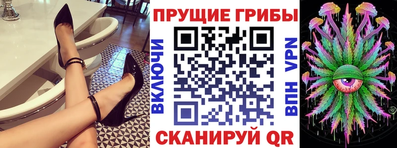 Галлюциногенные грибы Psilocybe  Купить где  Холм 